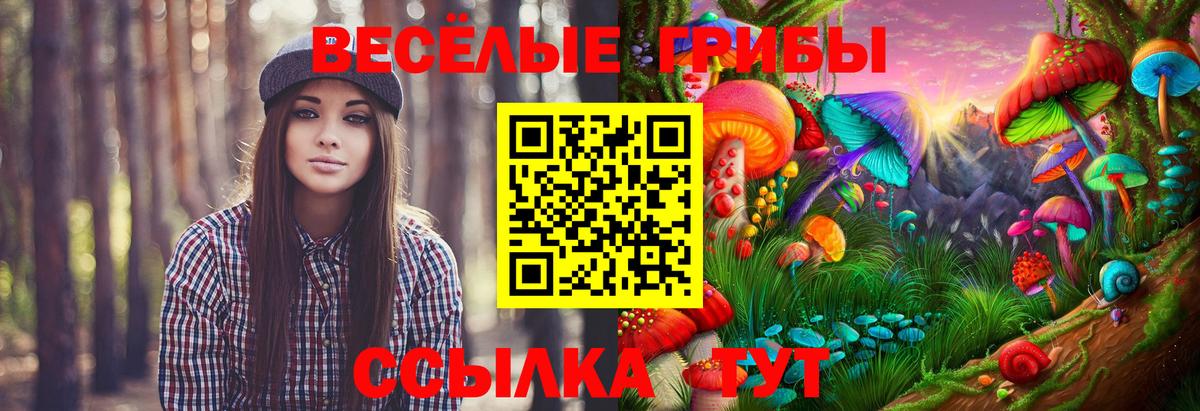 цена   Псилоцибиновые грибы мицелий  Вход с VPN  Псилоцибиновые грибы Psilocybine cubensis  Симферополь 